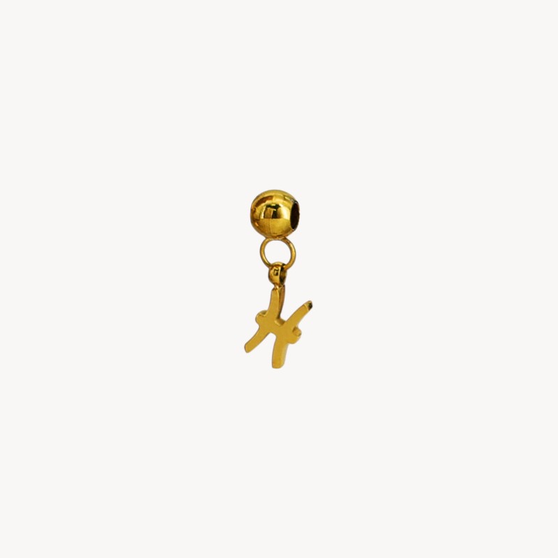 Charm Zodiac