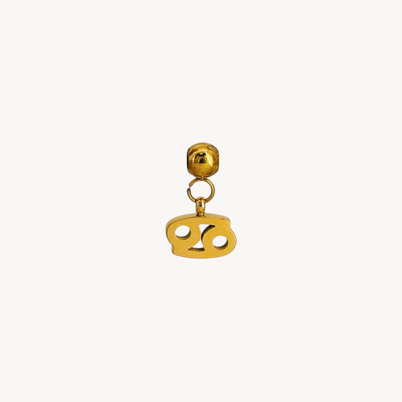Charm Zodiac