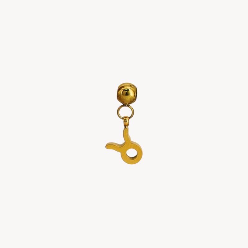 Charm Zodiac