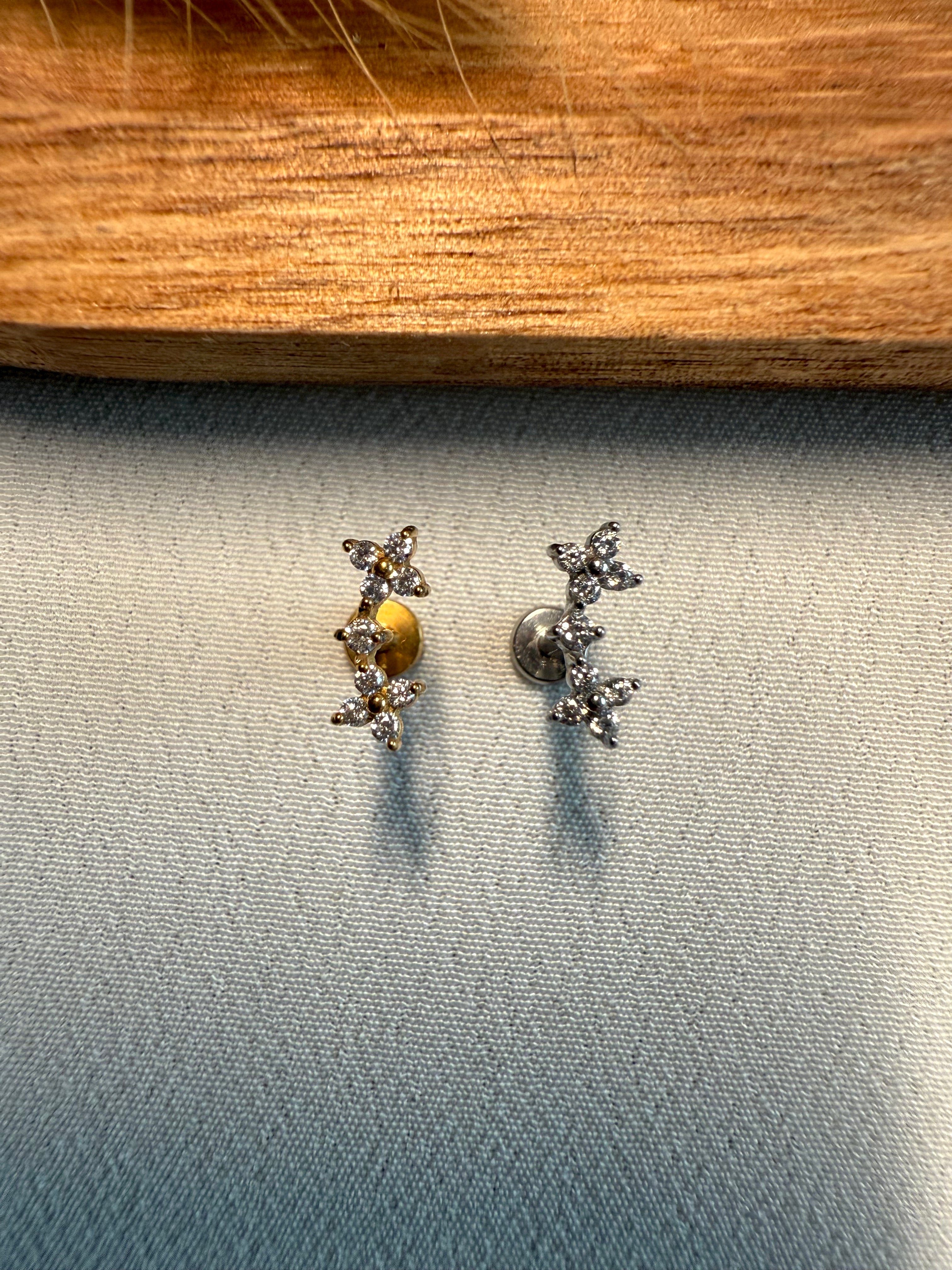 Piercing Twin Flower