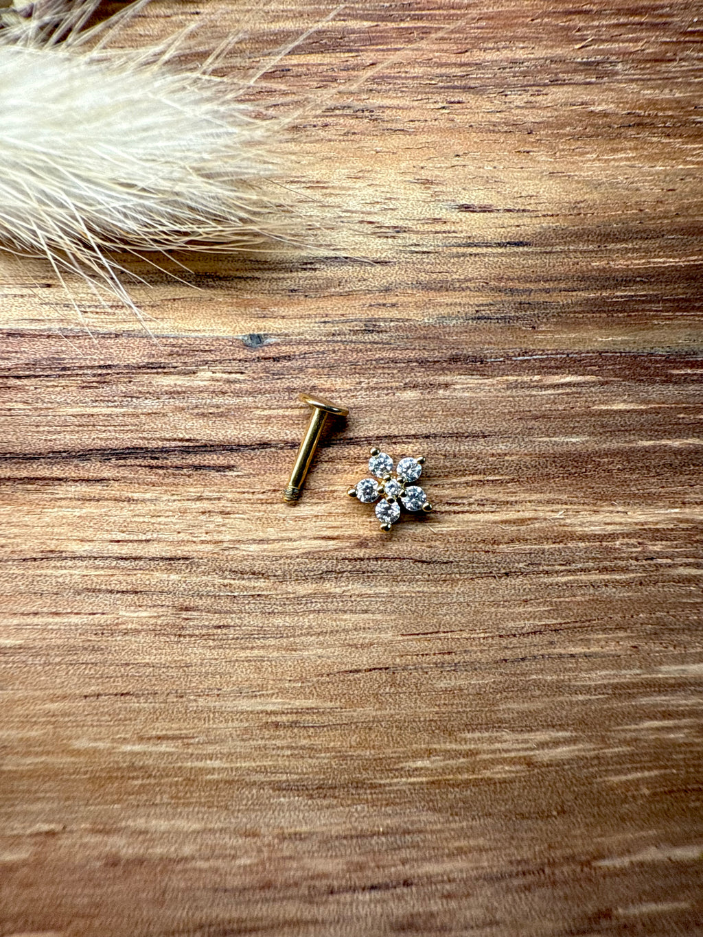 Piercing Daisy