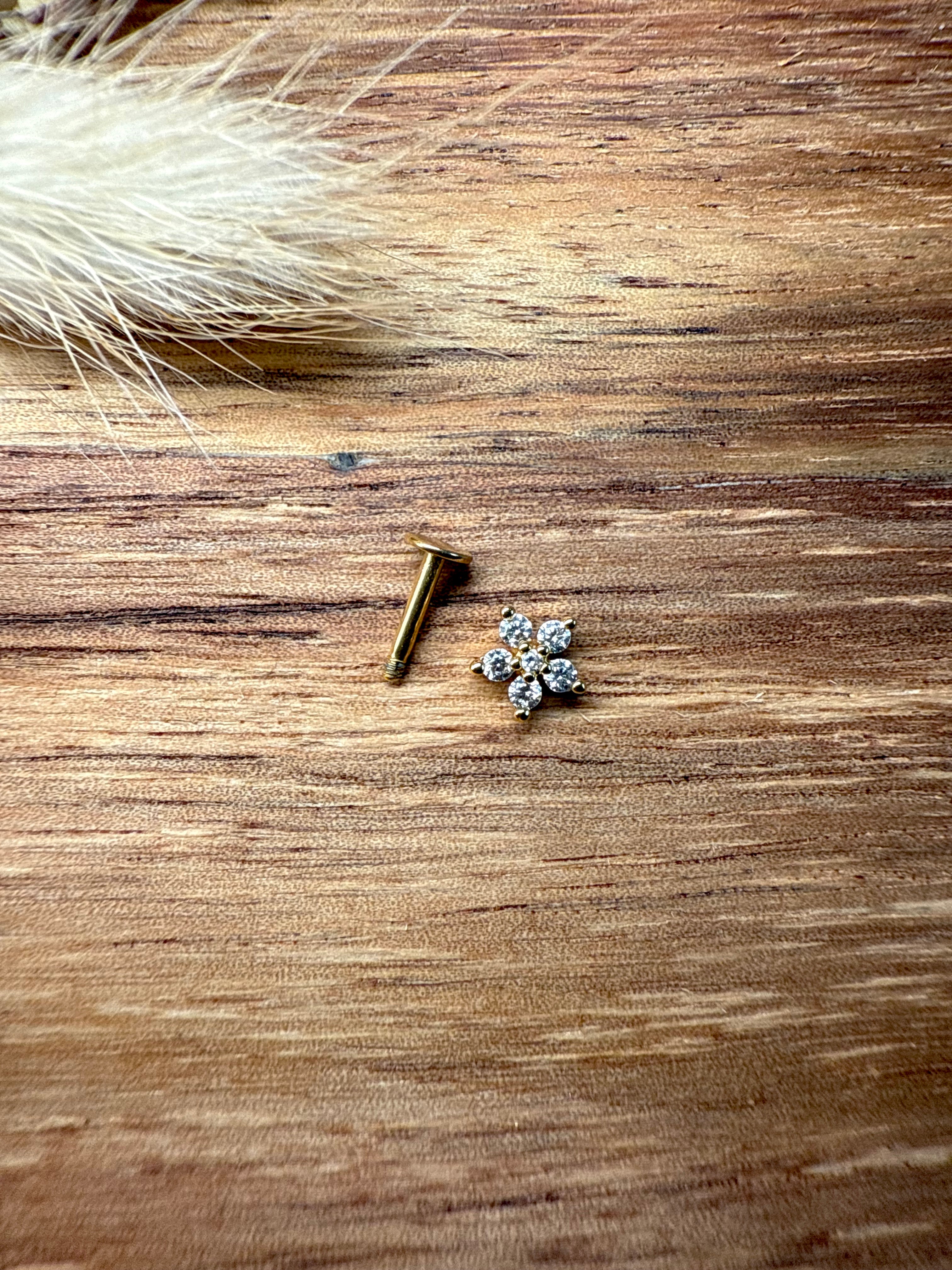 Piercing Daisy