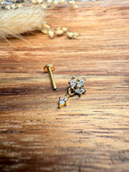 Piercing Lily