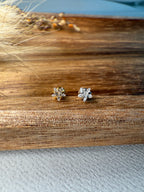 Piercing Star