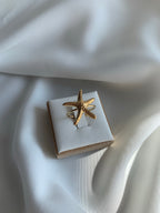 Anello Maristar