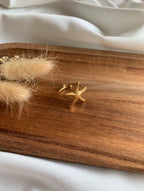 Anello Maristar