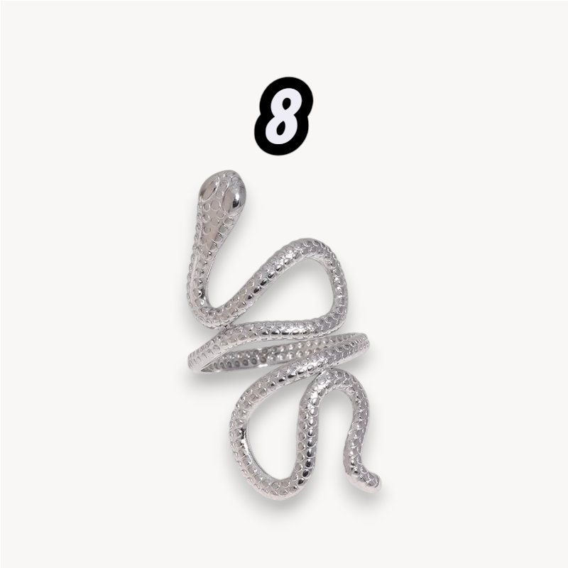 ANELLI SILVER